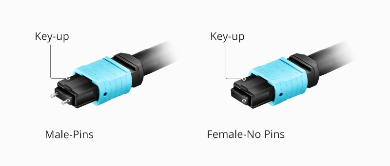 What is the difference between mpo male and mpo female